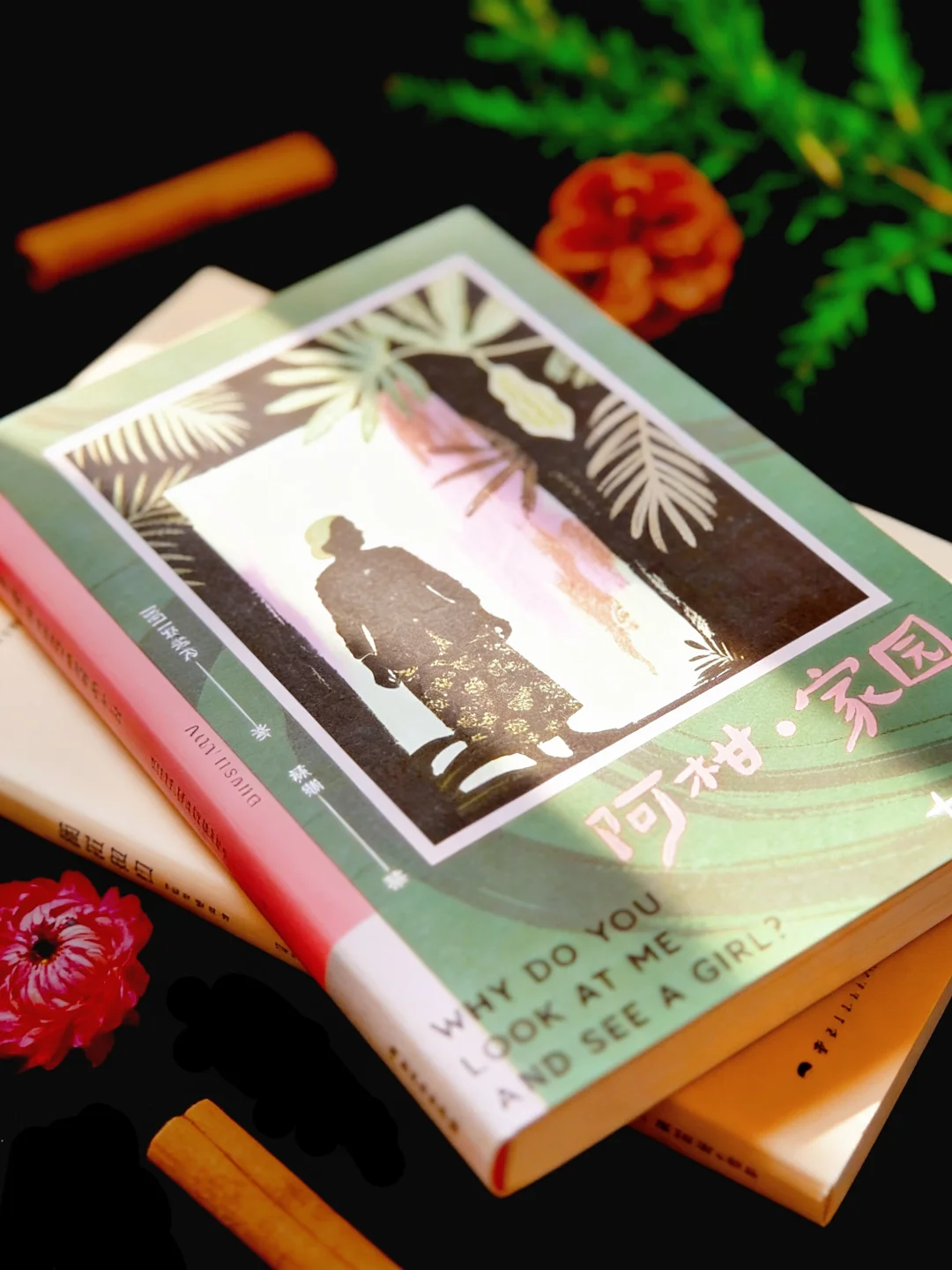 为什么自由的国度，容不下越南女孩的自由？