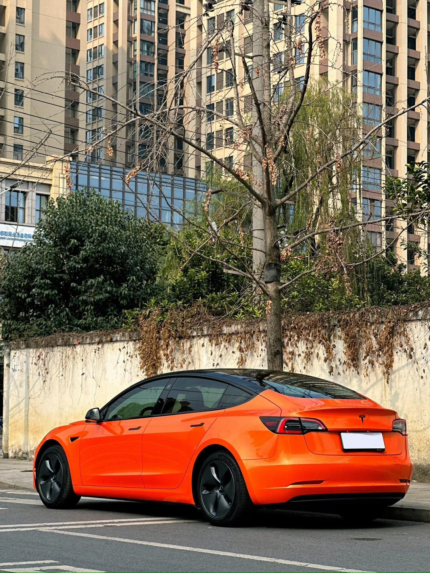 特斯拉Model Y换亮橙色！这气场真拉风
特斯拉Model Y换上这身亮橙色，再搭配黑轮毂，对比感直接拉满。开上街绝对是个显眼包，回头率低不了。阳光底下质感很顶，运动气息非常浓郁。大家觉得这款颜色够不够拉风？评论区聊聊。【来自懂车帝车友圈】