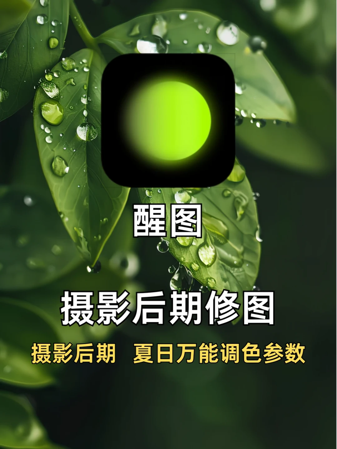 醒图｜私藏🎨高级日常必备5款滤镜合集🔥