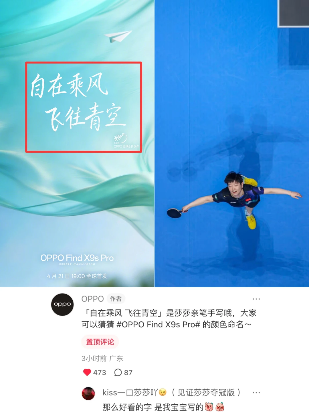 这句话和莎莎比赛这张图好配啊