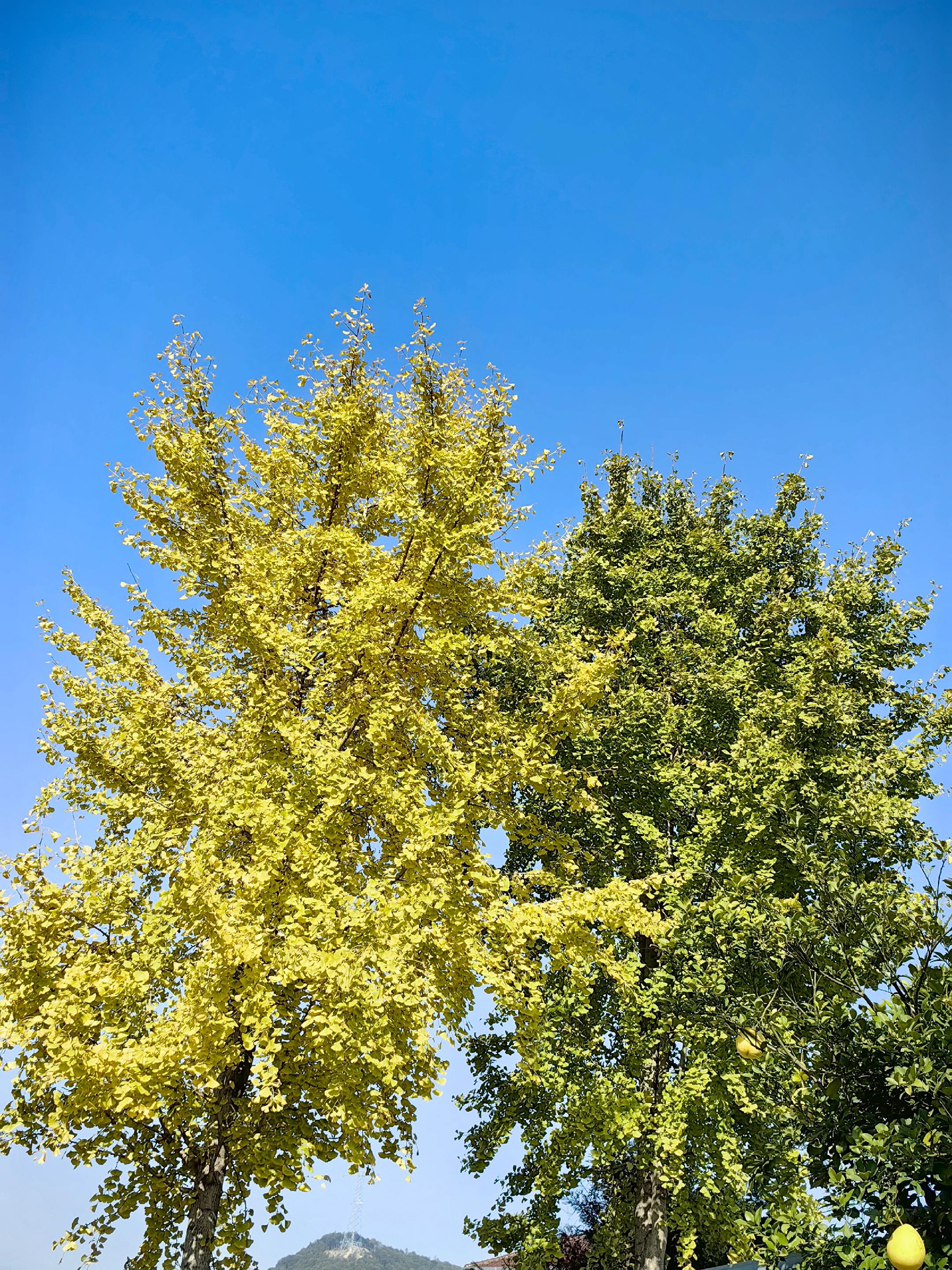 那有人能轻易看透人心，不过是因为在乎，所以看得见