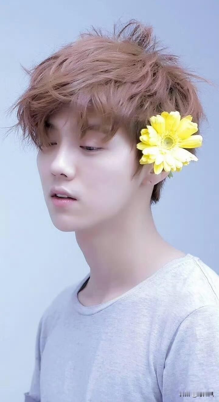原来鹿晗拒绝了《花少2》
否则也是“勾心斗角”
当初刚刚归国的他尚且稚嫩，能
应付得当吗？

《花少2》真是一部神奇综艺，除了节目组“作妖”，七个人各有各的性格。
怎么做到大姐姐们、妹妹们和两个弟弟都不开心的。

鹿晗真是逃过一劫。
假如鹿晗真的参加的话，大家觉得他会统筹安排好，搞定姐姐们吗？

图