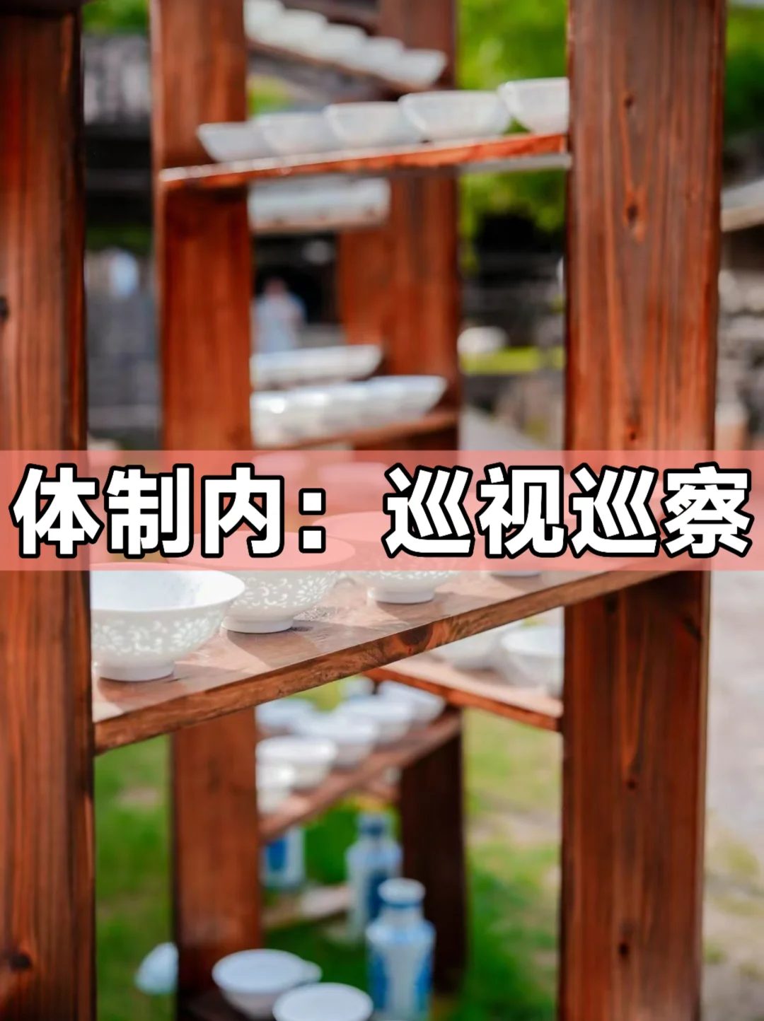 体制内：巡视巡察