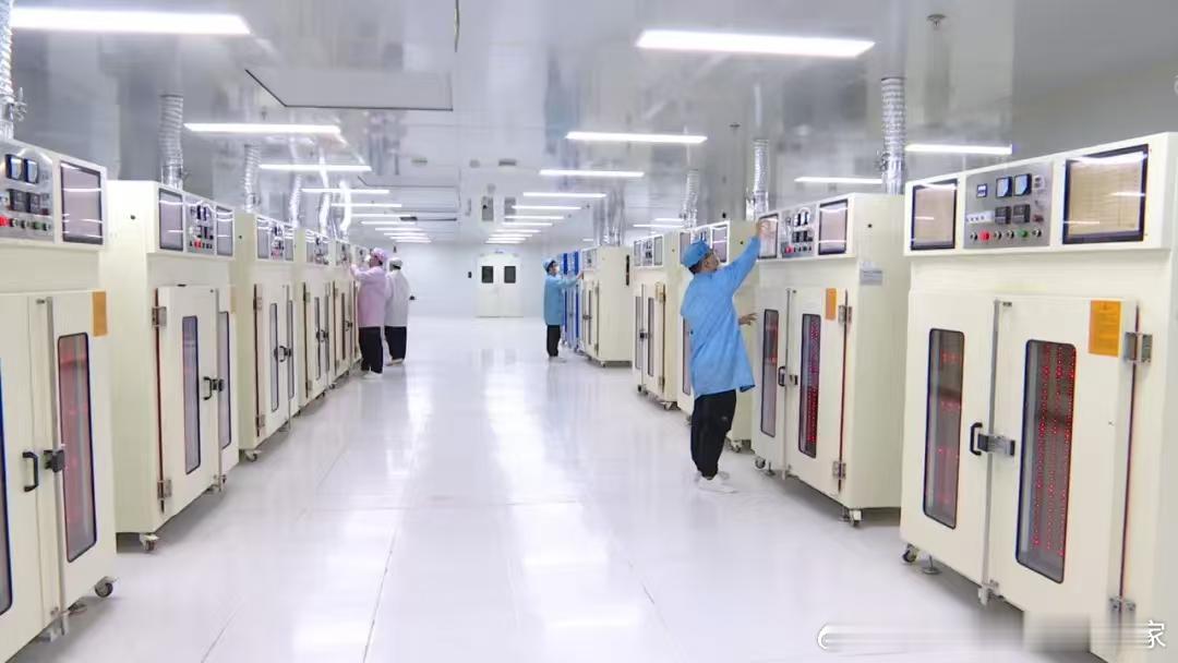 福建民翔半导体，漳州重点存储芯片企业，主营 SSD 固态硬盘、DDR 内存条、PSSD 移动固态、嵌入式存储，产品应用车载、工控、医疗、服务器领域，拥有 SMT 贴片、芯片封装测试全自动产线，面向国内外及外贸市场。
工厂物料包含 PCB 板、各类电子元器件、接插件、塑胶外壳、五金散热组件，外贸出口、大客 ​