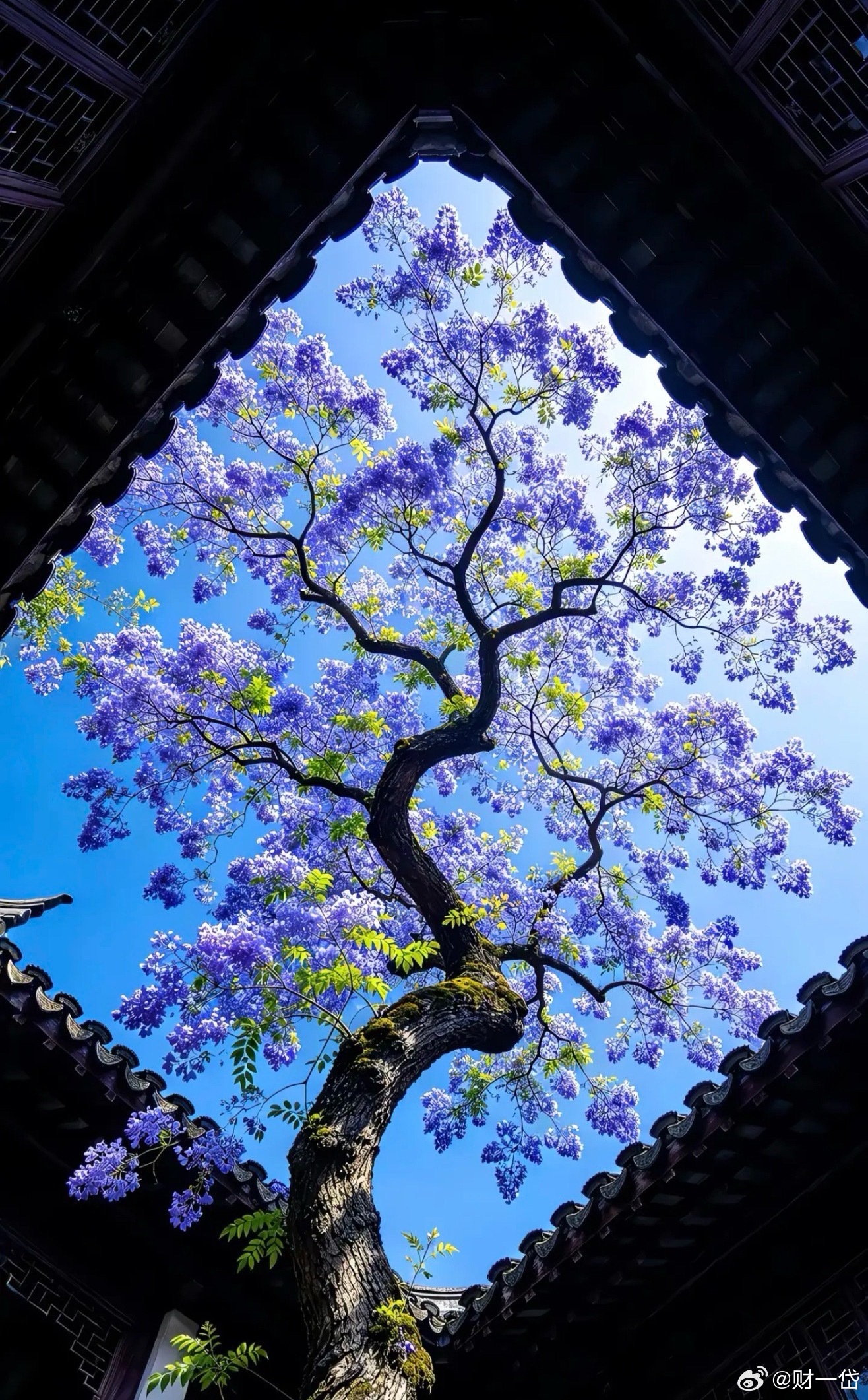 #国考岗位##国考#知识可以“跨越阶层”，国考过去是一种体现，现在对于普通人来说是保证下限，至少比地里刨食赚的多，也不用看老天爷吃饭（公平公正）。

最开始卷大学，之后是卷硕士、当学历不明显，学历优势不是消失了，是没有那么明显。
（好的学校，企业愿意买单，学校一般的打打价格战，把工资压 ​