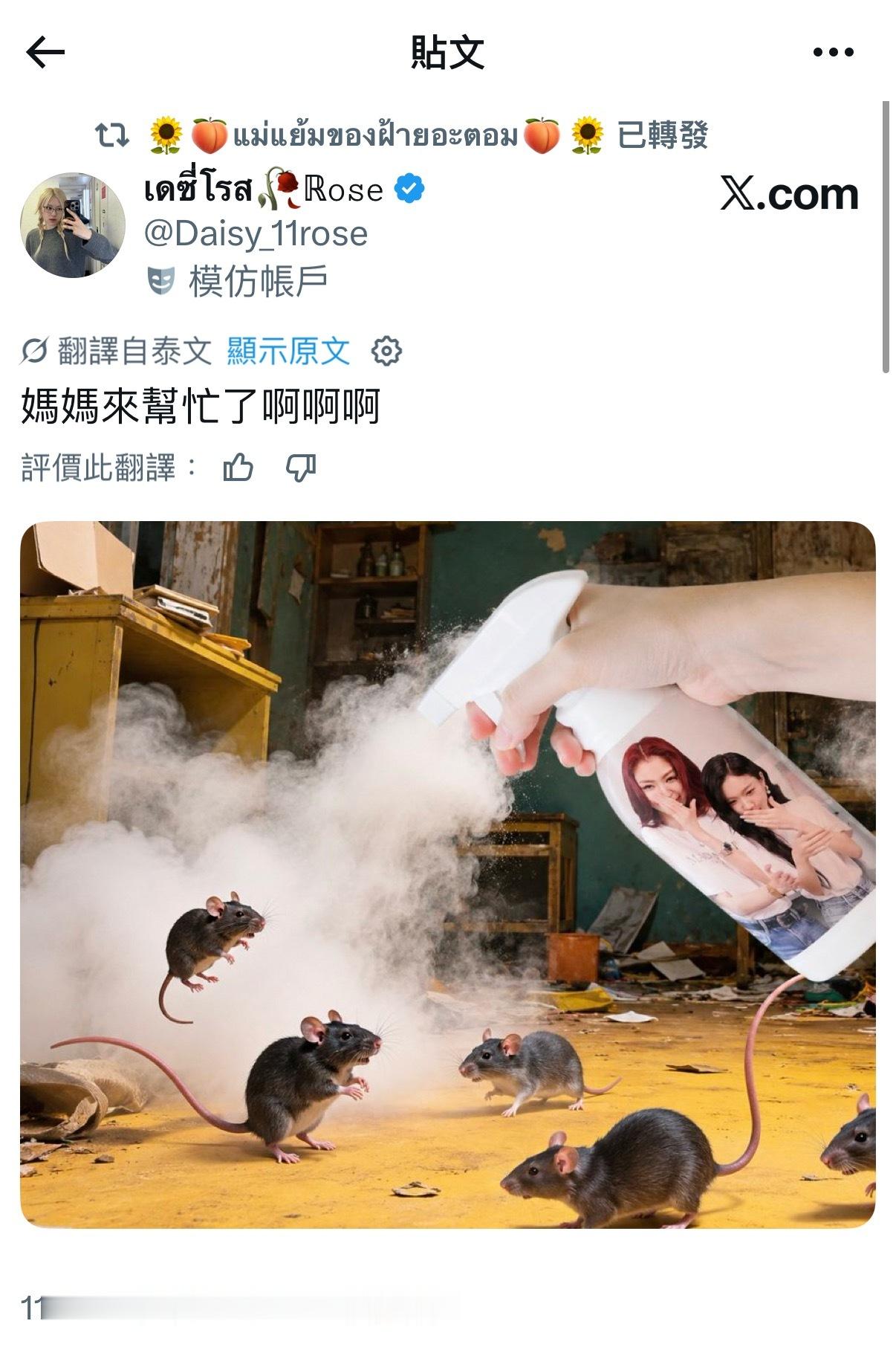 真的被泰妃笑死哈哈哈哈哈