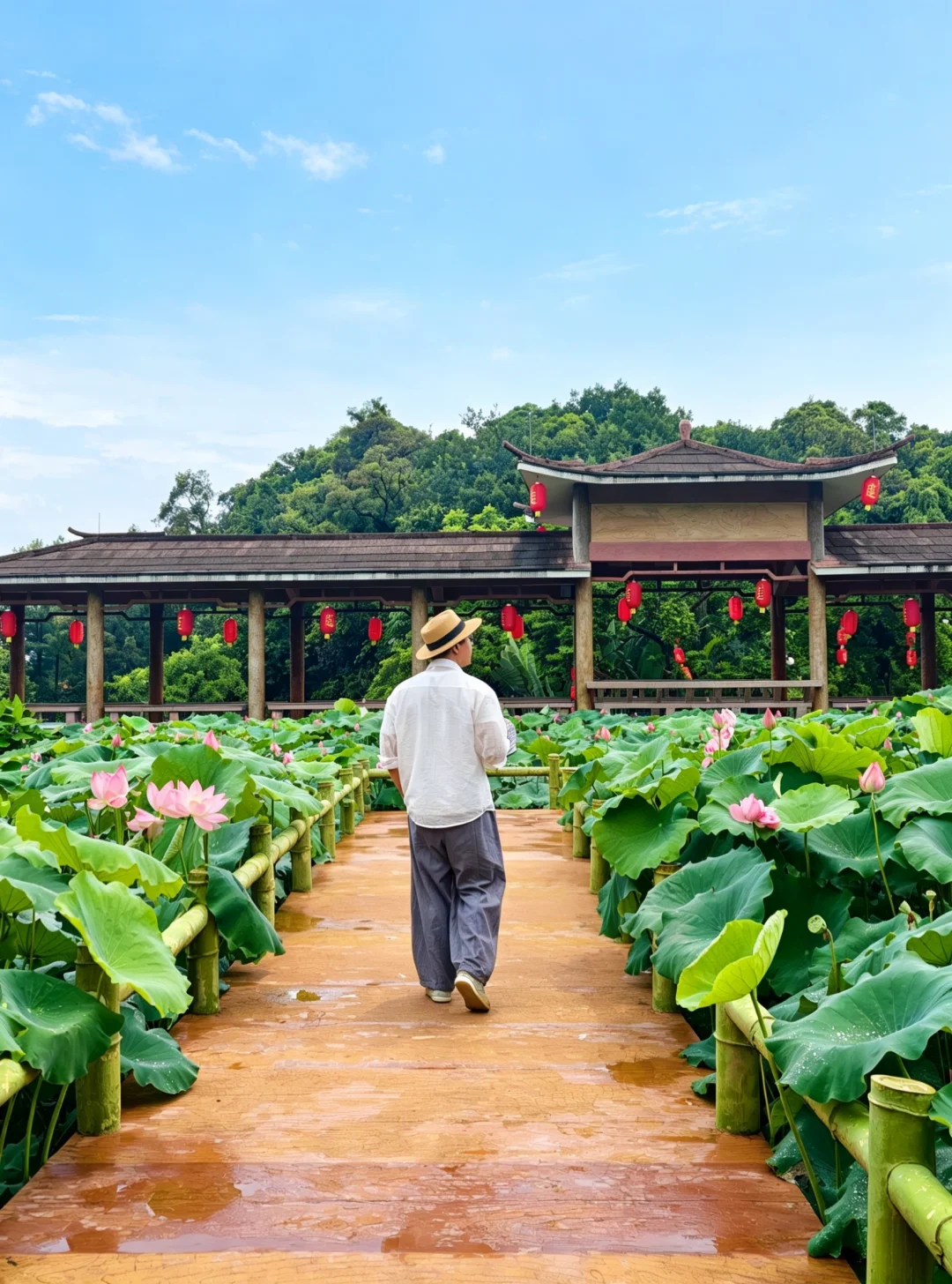 广州莲花山｜赏荷正当时🪷登高祈福两不误