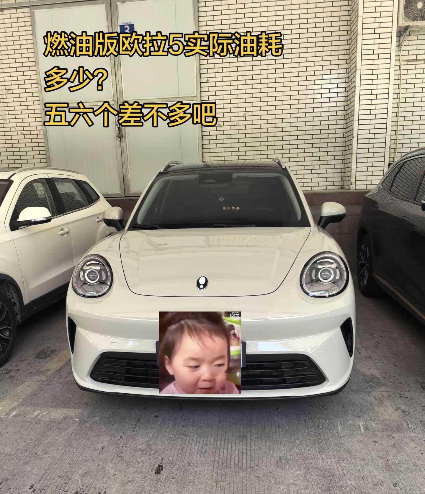 燃油版欧拉5实际油耗多少？五六个差不多吧欧拉5