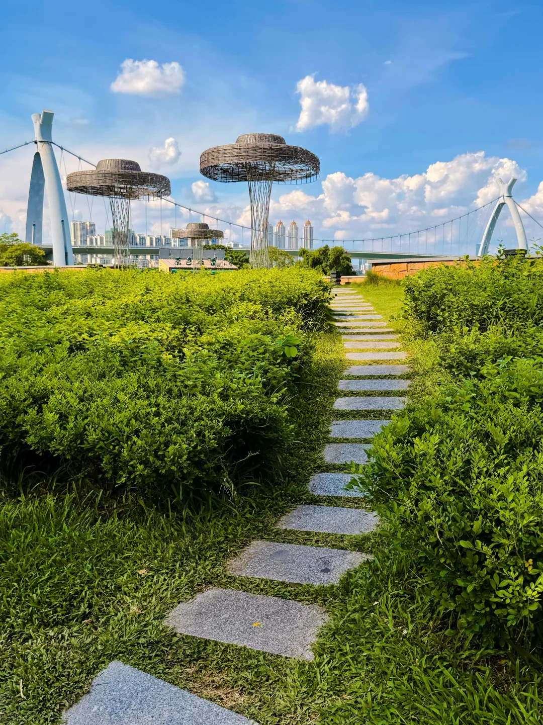 8.2实况｜找到了南宁公园的正确打开方式🌿
