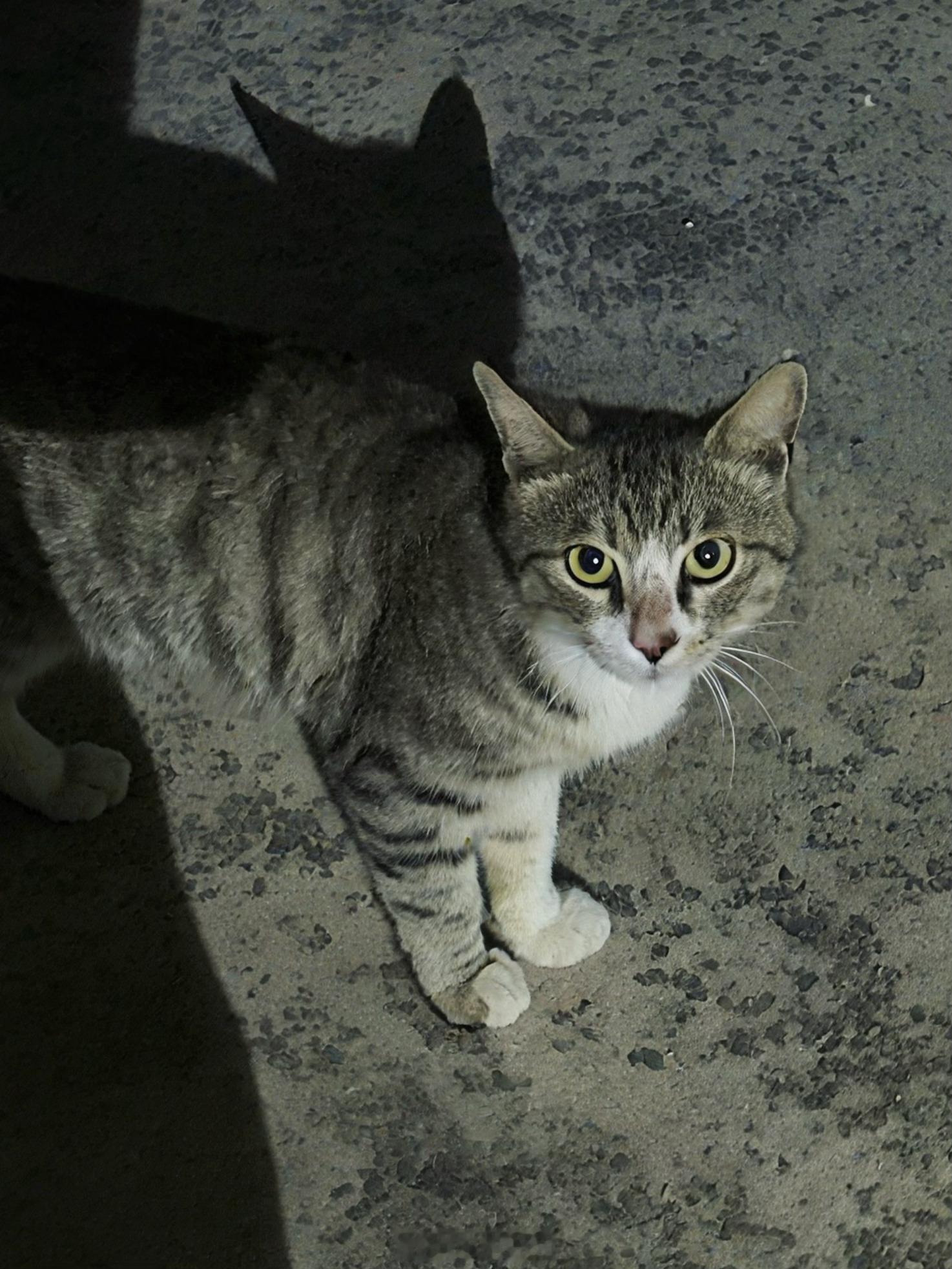 -避个暑​​​