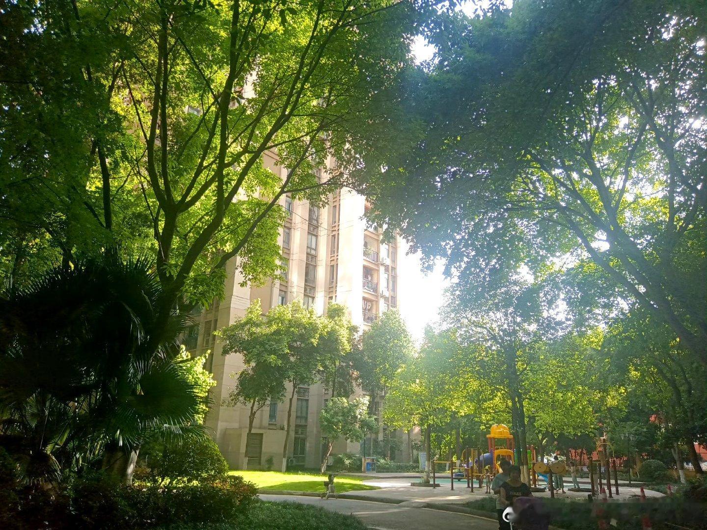 重庆

       大渡口政府近几年大搞破坏，大量公共的社区森林公园，草坪，生态湿地，行道树，绿化隔离带等遭到城管局的严重破坏和毁灭，被钢铁水泥石材塑胶沥青所取代，成了铁板大渡口水泥大渡口。

       万幸的是，楼盘里面是私人领地，城管局无法染指和破坏，使楼盘里保持了绿色生态植被。当年，某 ​