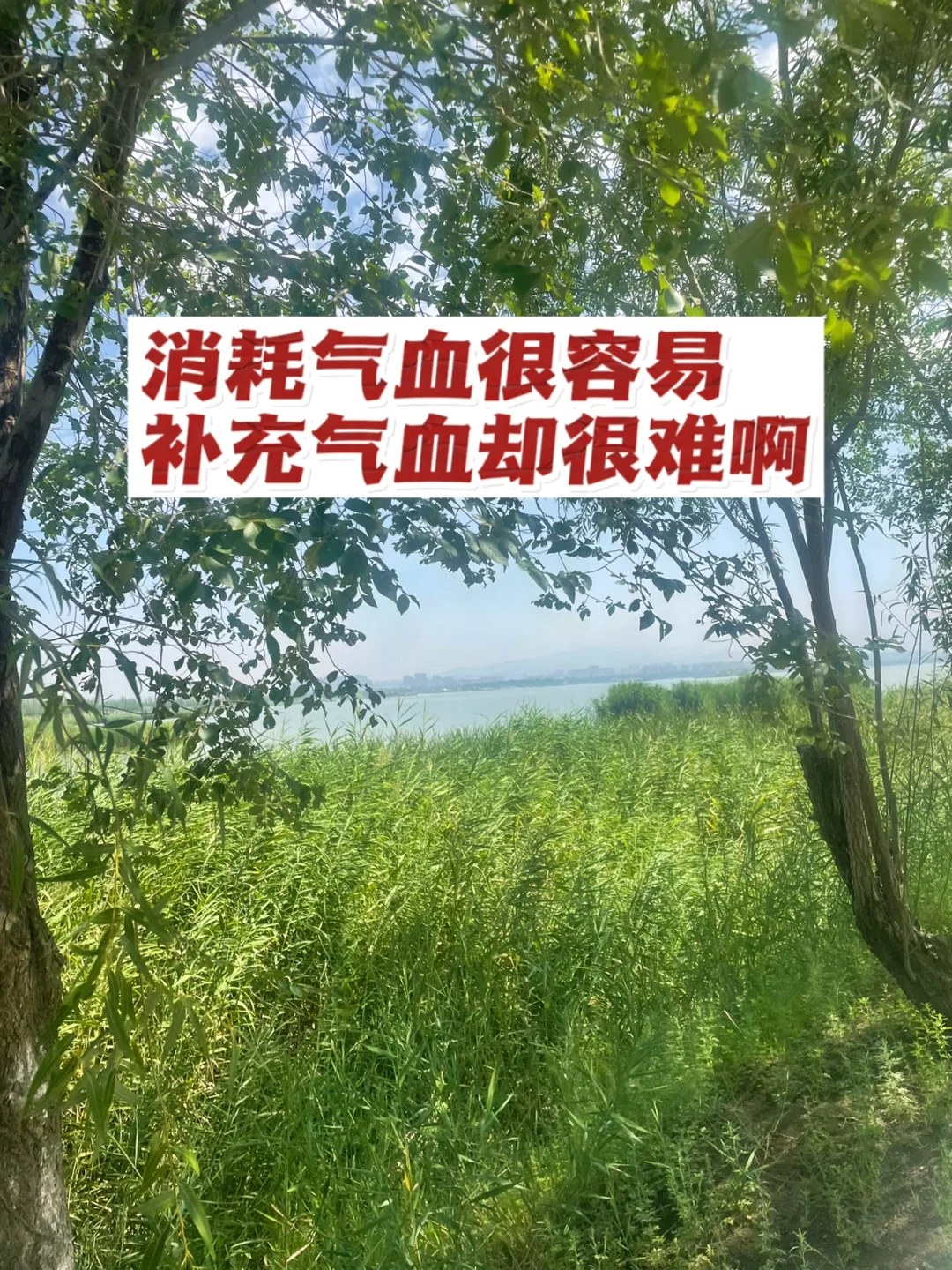 消耗气血很容易，补充气血却很难啊.