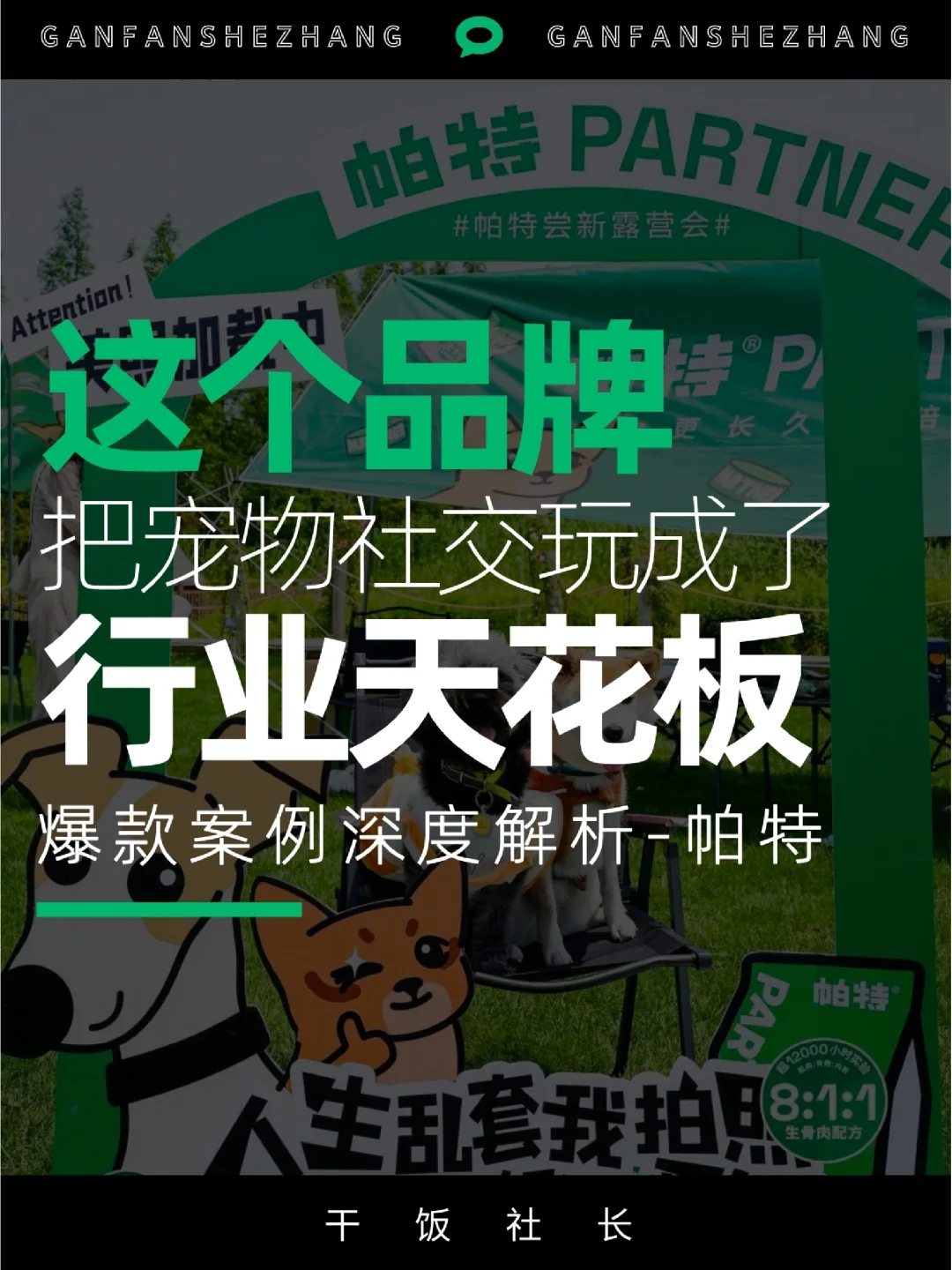 品牌洞察｜帕特尝新露营 宠物社交天花板
