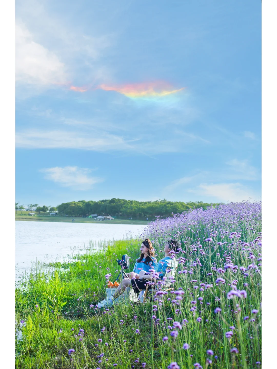 武汉新晋临湖赏花露营地💜划船钓鱼还免费‼️