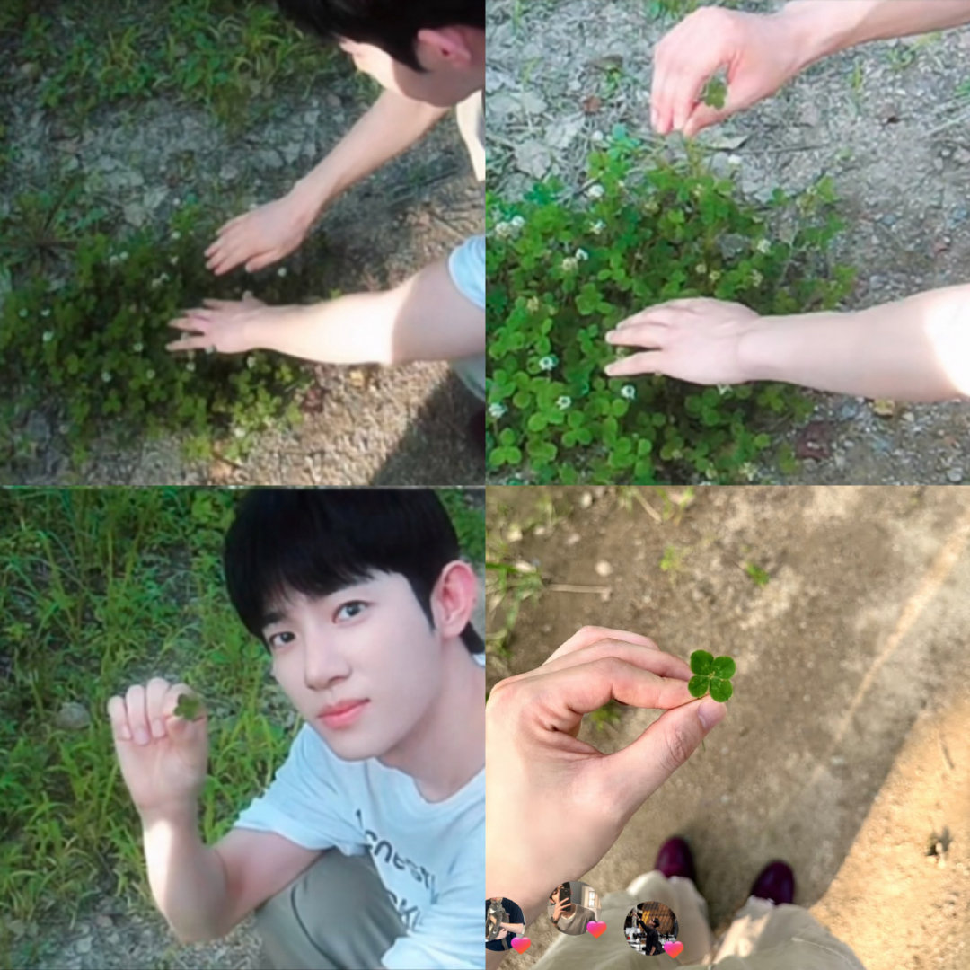 希望四叶草🍀能永远给你们带来幸运🥺 ​