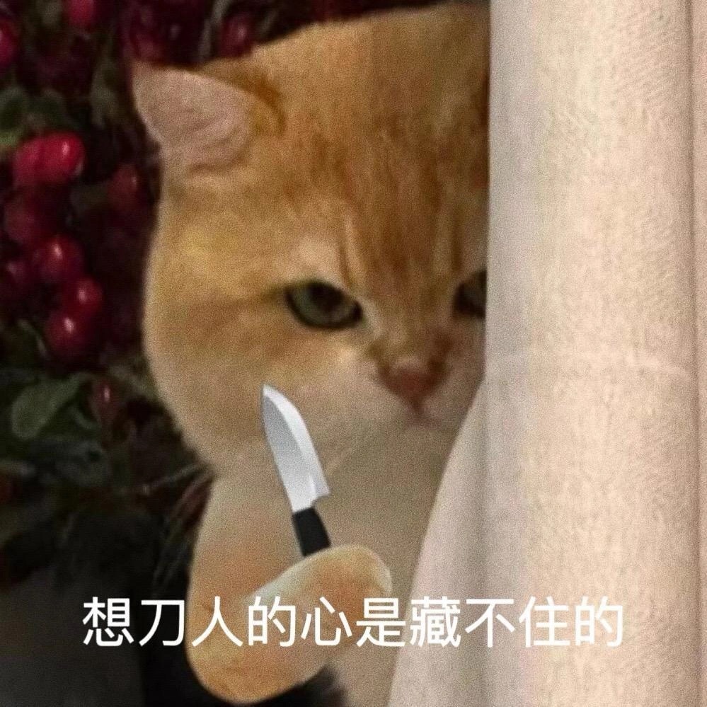 可爱小猫表情包