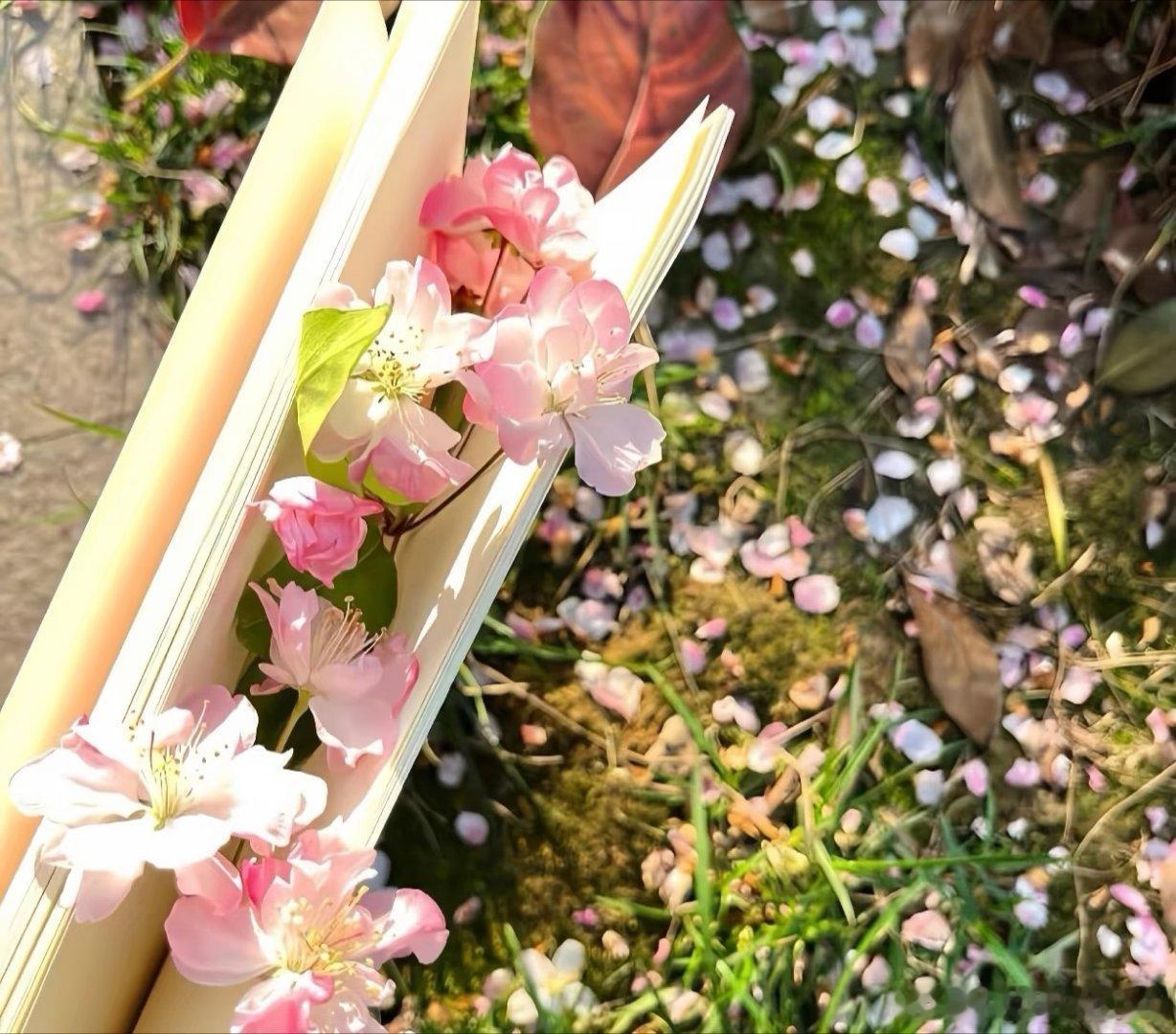人生如途，所见皆风景，所行皆成长。 心若向阳，万物明朗， 温柔而不软弱...