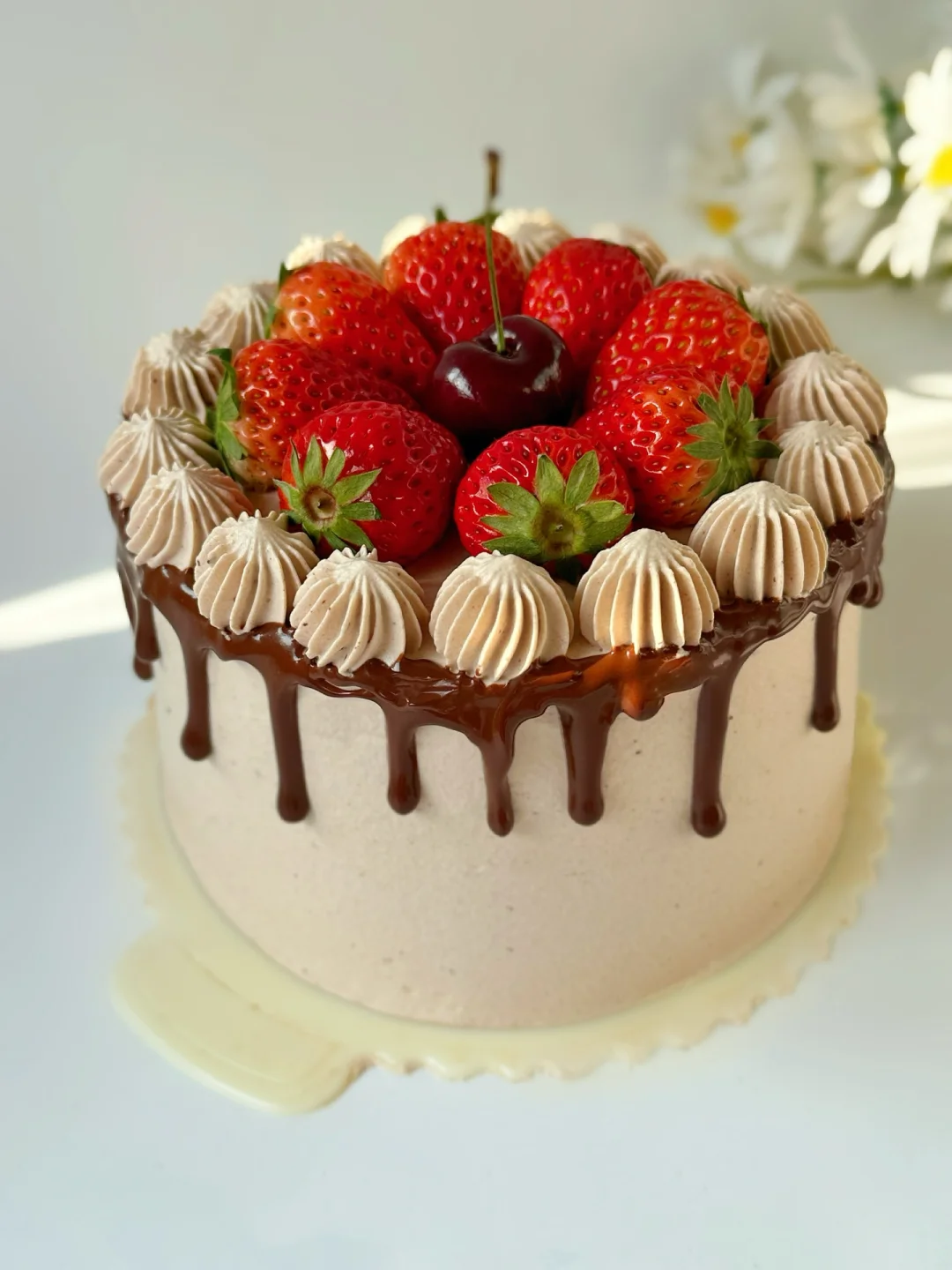 情人节限定‼️巧克力草莓戚风蛋糕‼️