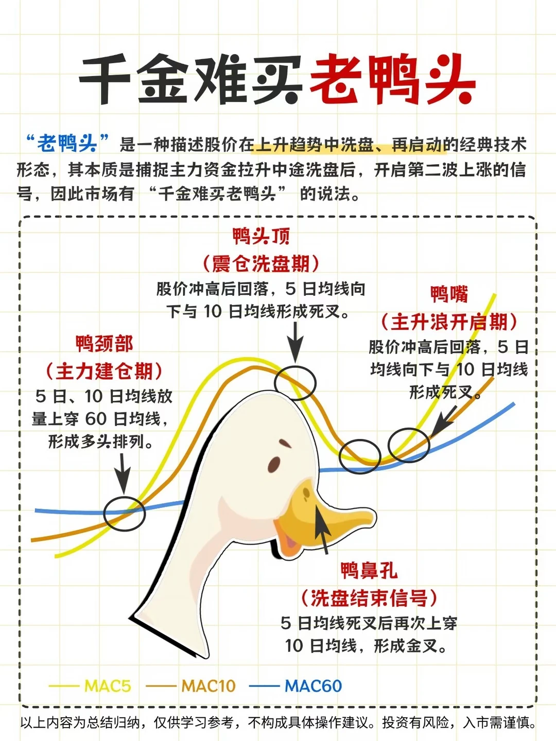 千金难买老鸭头