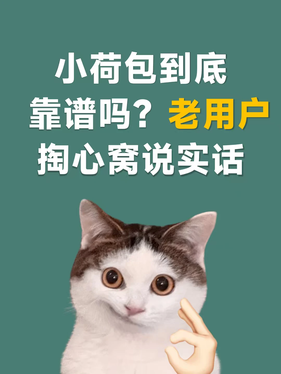 小荷包好不好？一年老用户说实话！