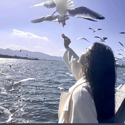 听春深聊科技
