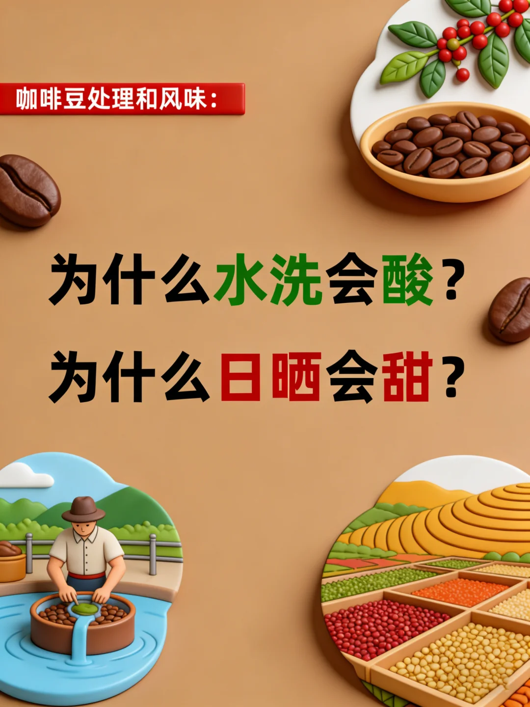 咖啡豆处理和风味❗为什么水洗会酸？