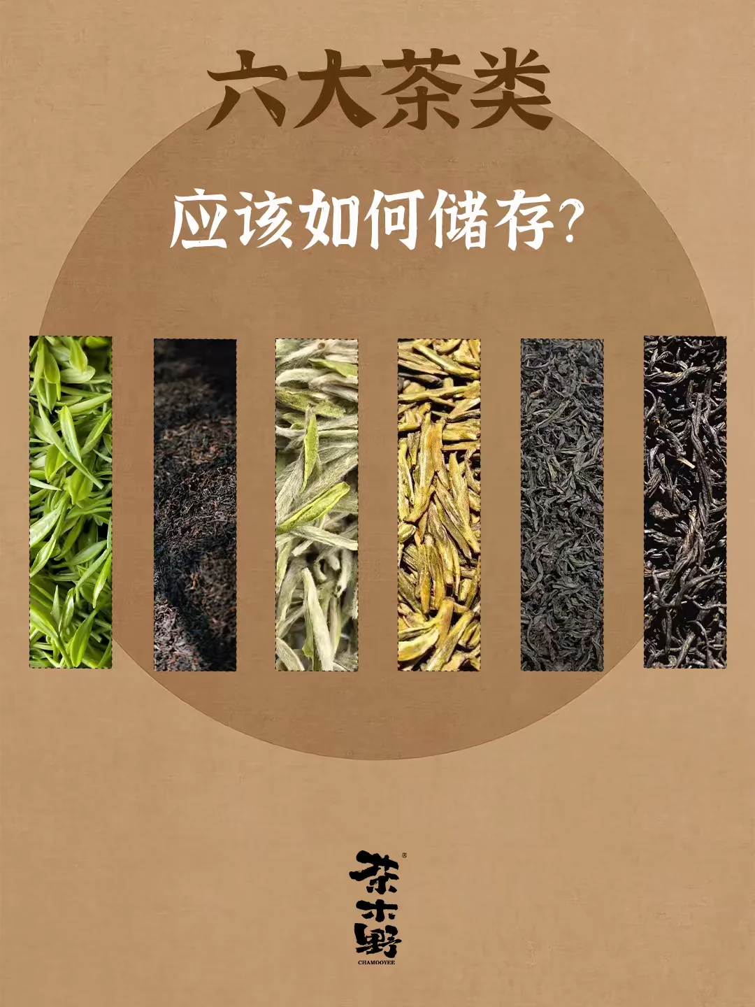 知识分享丨一分钟了解六大茶的储存