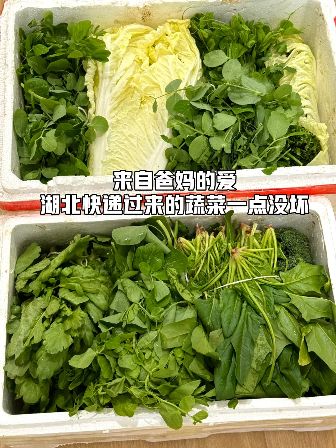 来自爸妈的爱湖北快递来的蔬菜第四回啦