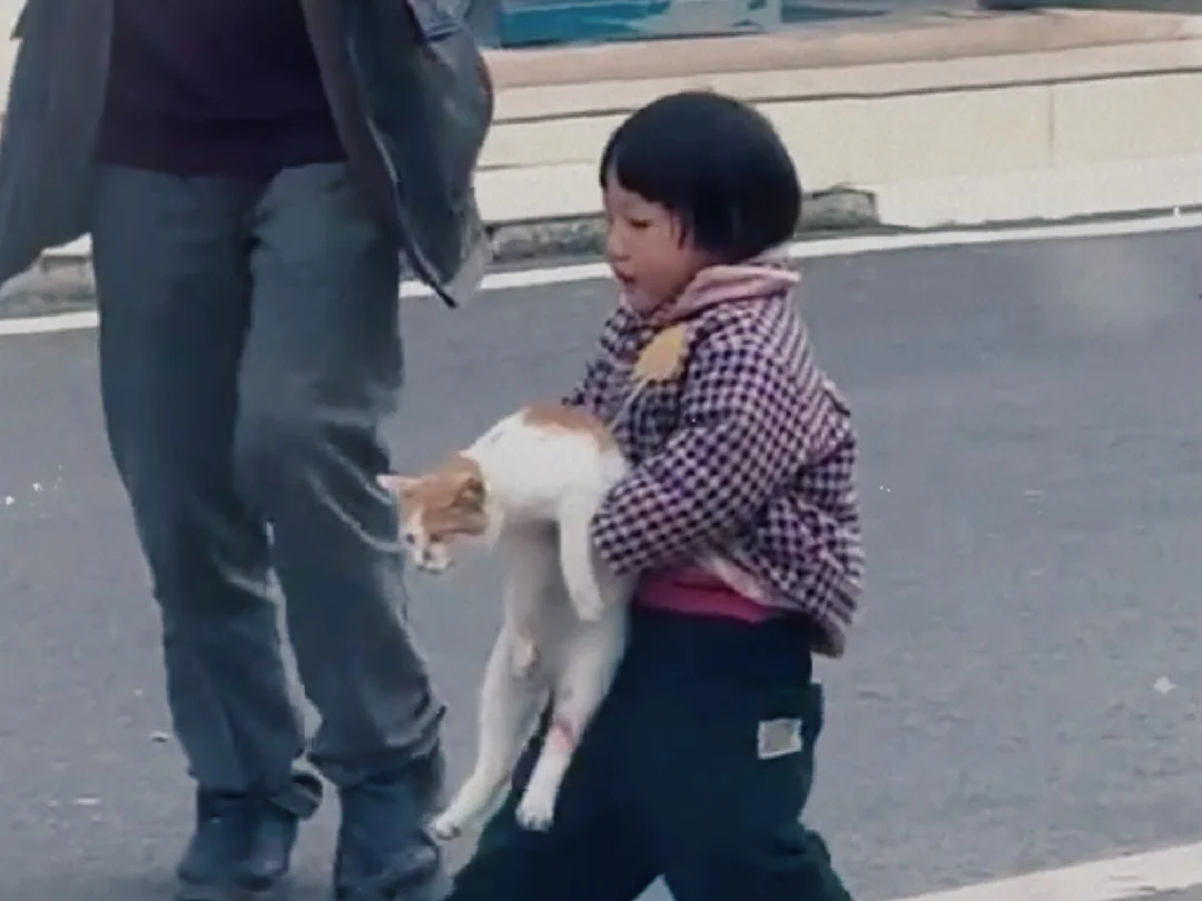 女孩:手到擒来。小猫:欲擒故纵