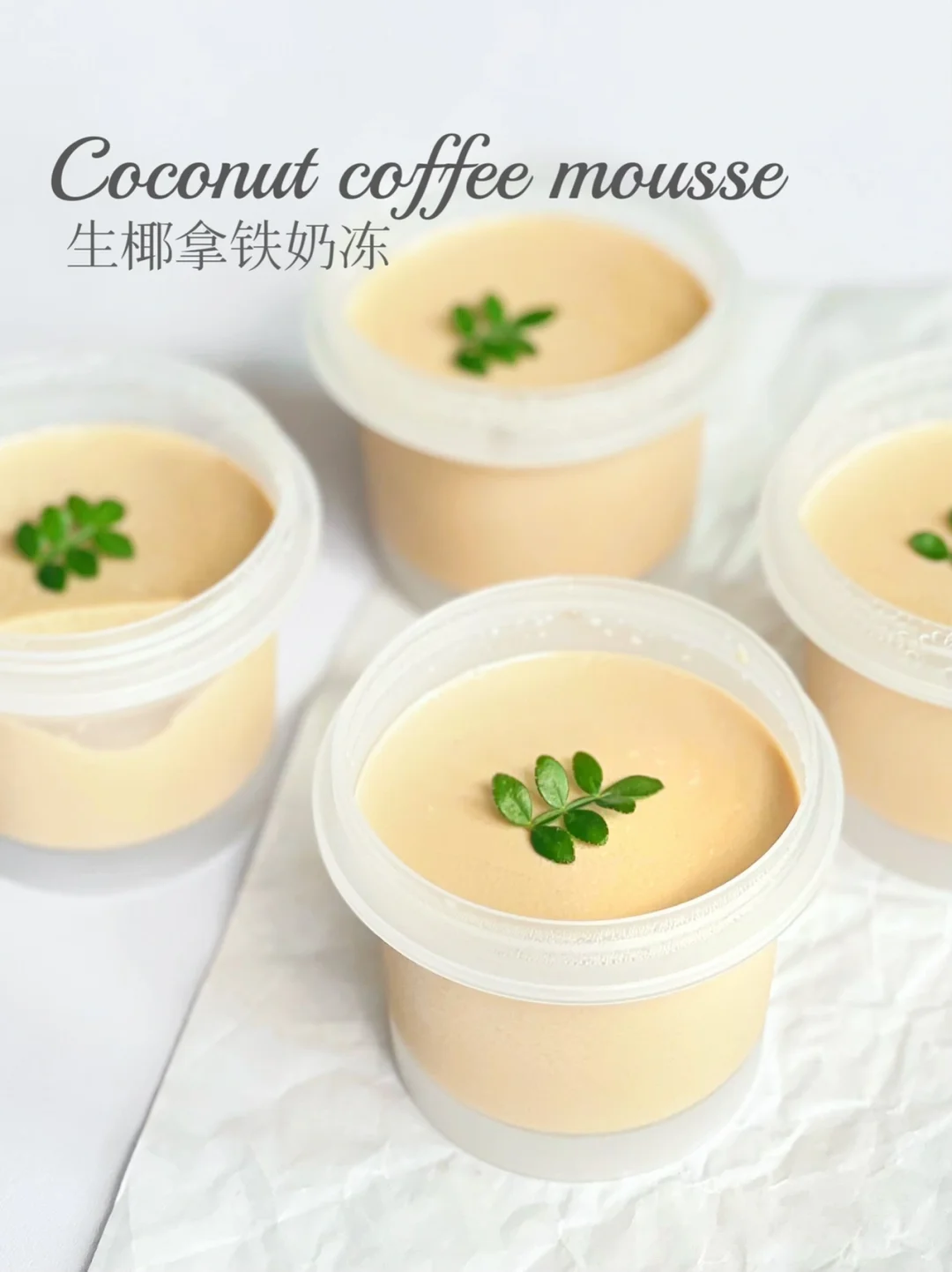 10款咖啡甜品不重样｜免烤箱生椰拿铁奶冻🥥