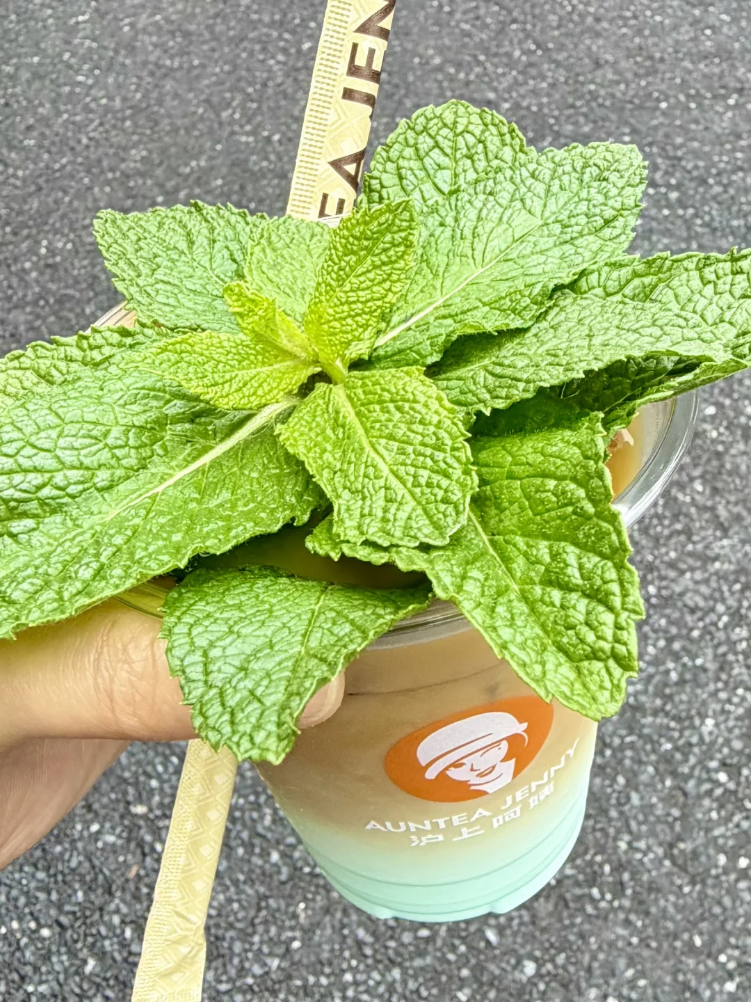 值得载入薄荷史册的一杯！！！