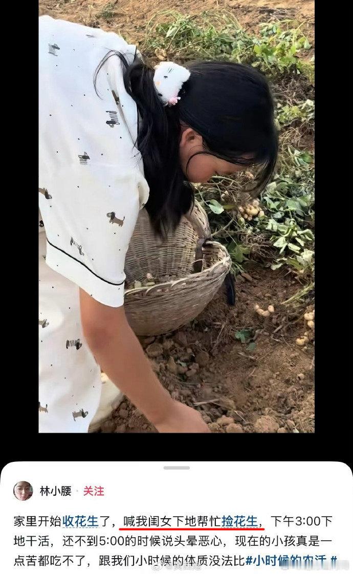博主发布让女儿捡花生的视频，评论区被仙女们冲烂了！纷纷留言：怎么不叫太子出来干活！
可惜博主她家只有两个女儿，重男轻女的帽子挂不上了。。。 ​