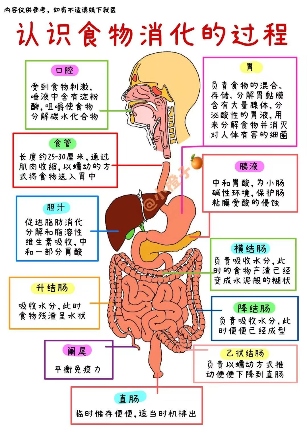 腹痛‼️腹泻‼️腹胀‼️付应对方法｜建议收藏✅