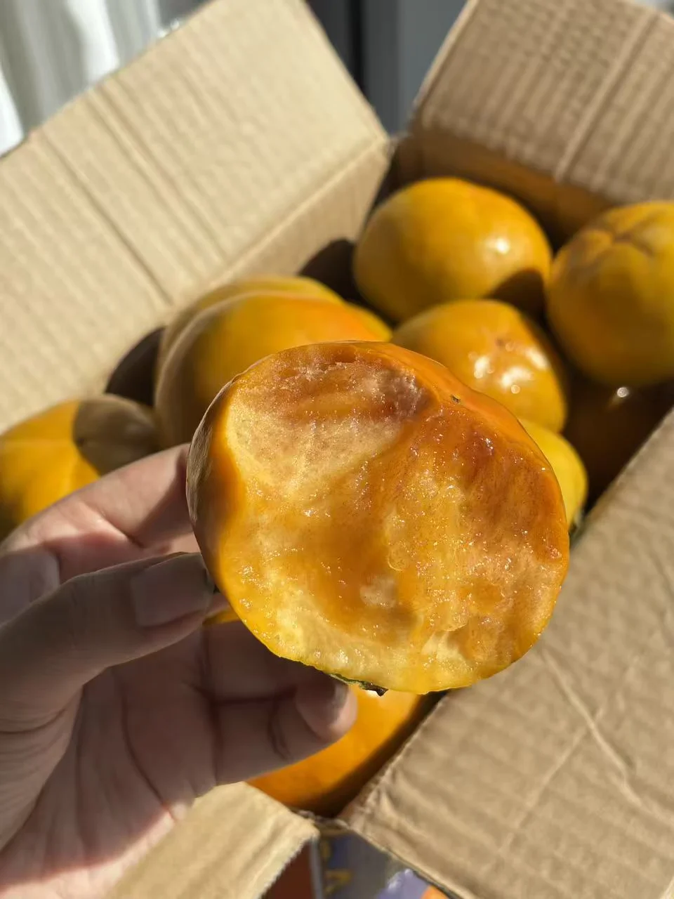 三天就能干完一箱，自带糖芯巨清甜的脆柿！