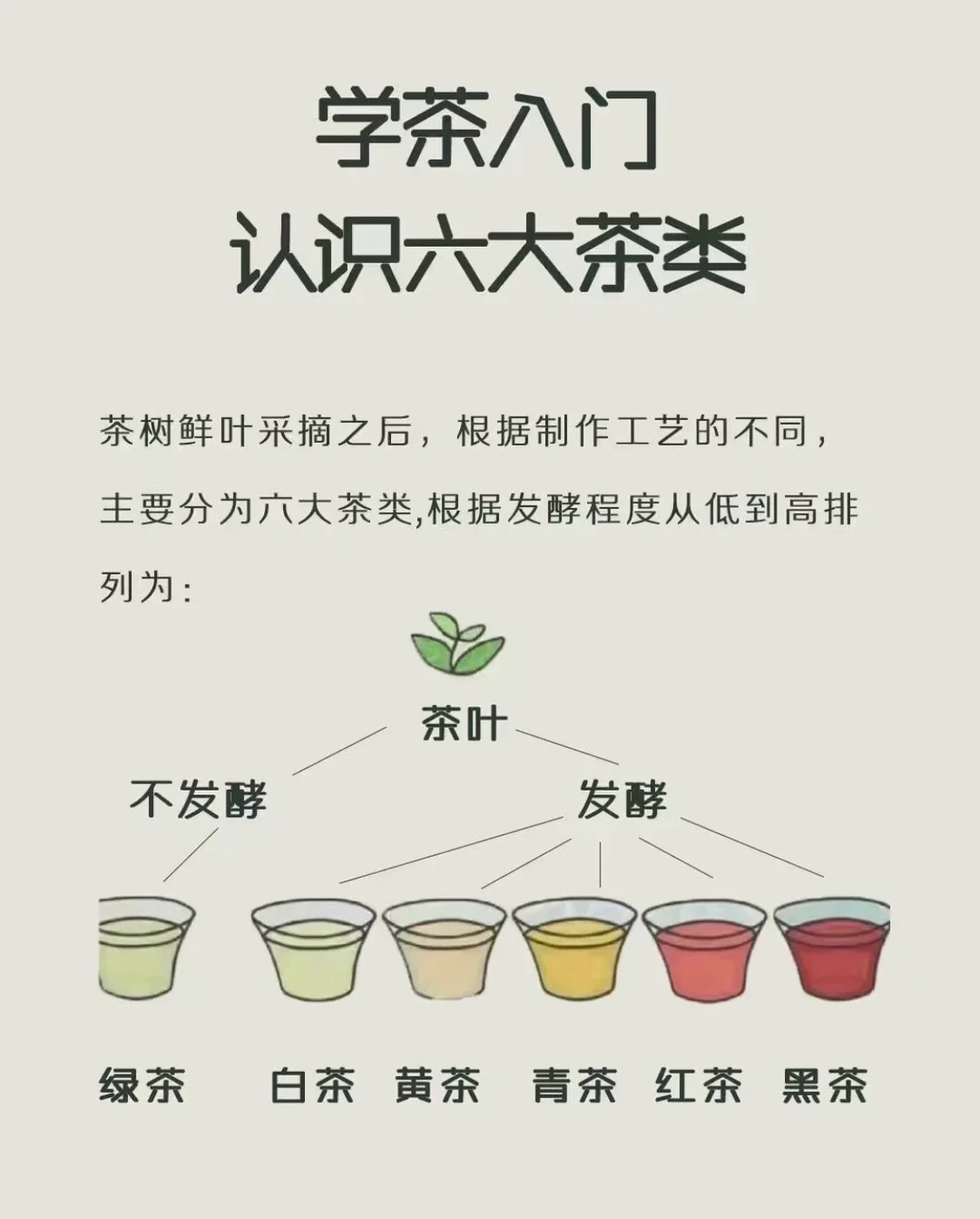 中国的六大茶类是哪几个，你知道吗？