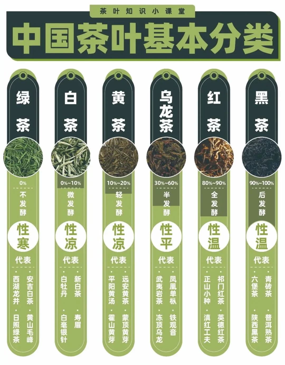 一次性看完中国六大茶系，看看你适合喝什么