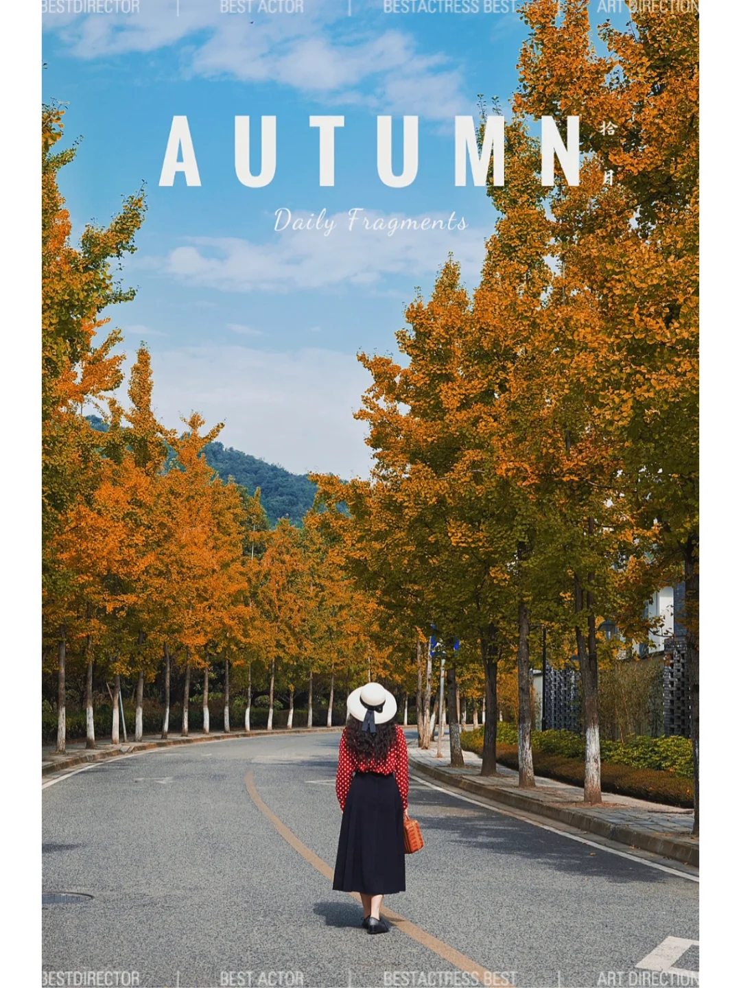 成都周末游｜秋日暖阳里邂逅无人的银杏林