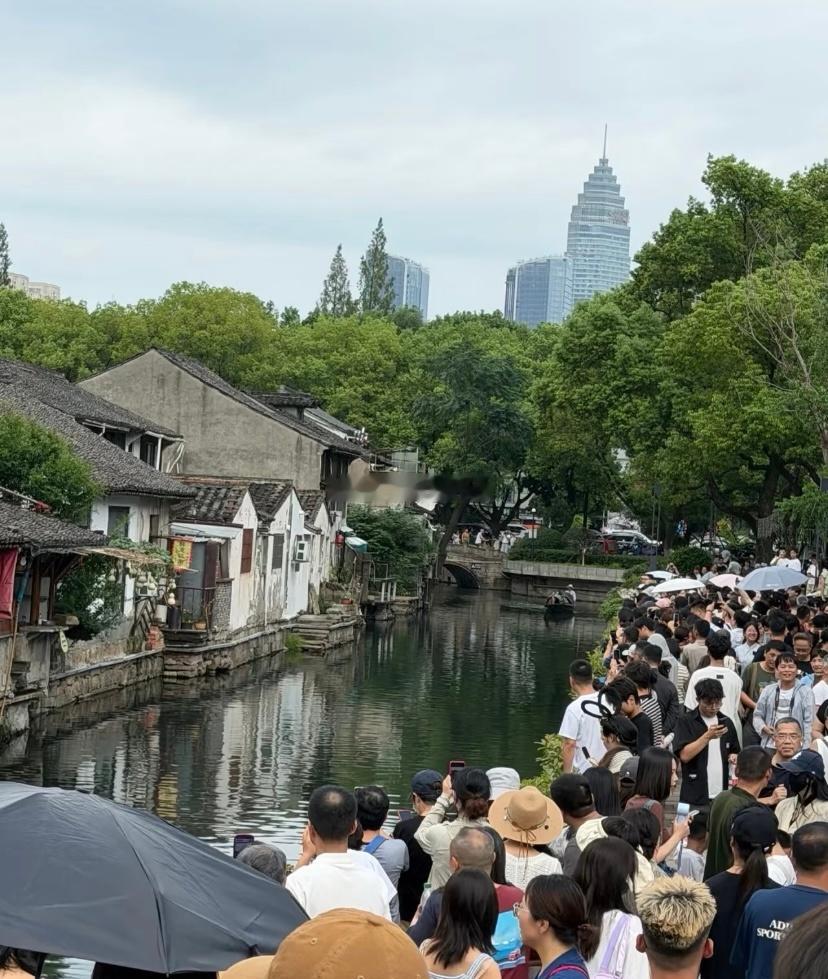 #葫芦爷爷剪掉葫芦村民被逼砍网红树#爆火后，吸引大批游客赶来，蛇精、蝎子精、青蛙梗轮番打卡，严重扰民。这些不过是普通人生活里的寻常景致，并非专供猎奇拍照的景点。不少人并无恶意，但扎堆围观只会无尽消耗。普通人无力驱散人群，只能毁掉出圈事物换取安宁，流量狂欢别透支普通人的日常。[good] ​