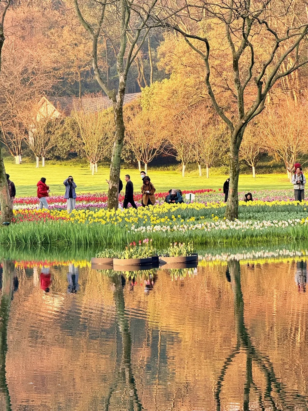 live图🌷早上七点的太子湾美到窒息😭😭