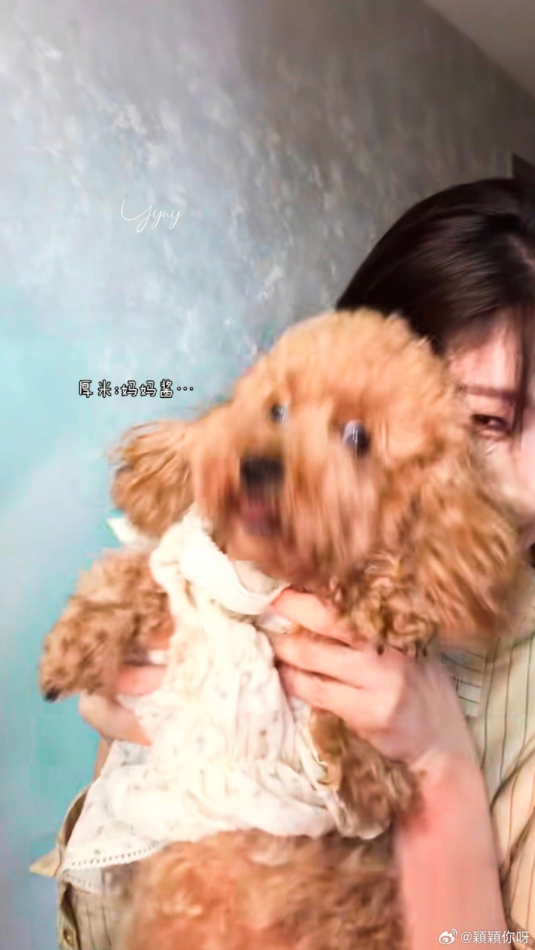 #艾米[超话]# 姐姐 小猫 厚米🐱🐶🍚 ​  ​ ​