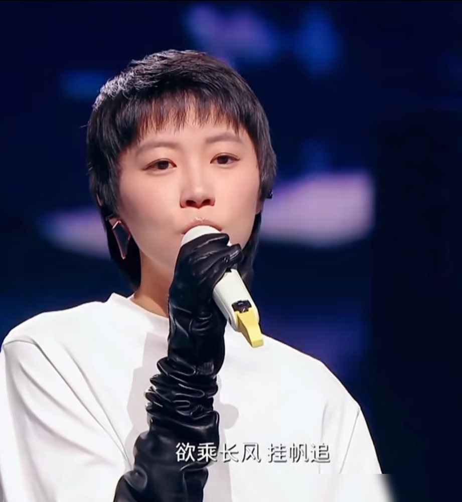 窦靖童一开嗓，全场都愣了一下，那气口、那尾音，活脱脱就是王菲本人站在台上。唱的还是《湾》，连造型都透着菲式冷感，评论瞬间炸了：这标签是撕不掉了。
她以前烦过，见谁都提王菲女儿，她说很烦。后来想通了，七个字回应像妈妈这件事：谢谢，我会努力的。再后来更坦荡，说像我妈妈是理所当然的，不再拒绝这种遗传，也