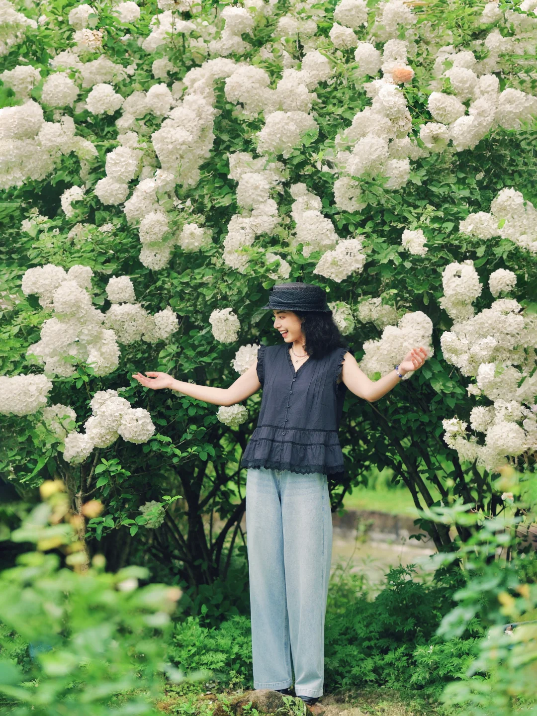 拍了拍木绣球下的春天～