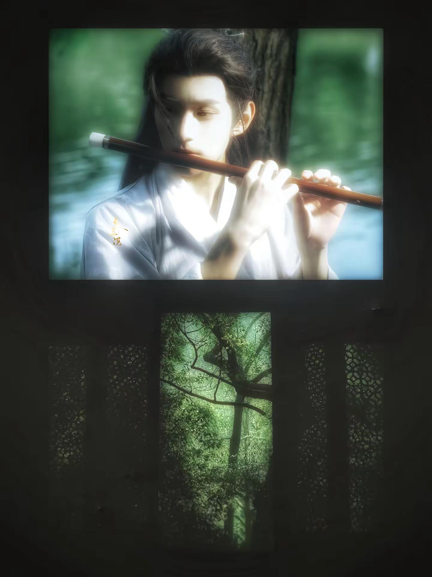 风摇翠竹 疑是故人来。（rm：@鹤子棠 ）徐振轩