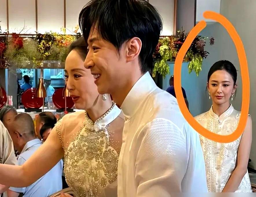 闺蜜大婚，伴娘端着酒杯当众黑脸，满眼都是戏？

佟丽娅在董璇婚礼上这个发呆的瞬间，被网友硬生生抠成不看好二婚的年度悬疑片，连上好几天热搜。

鲁豫在节目里当面把这事挑明。佟丽娅捂着嘴笑出声，说自己当时踩了一整天高跟鞋，那会儿纯粹是累断电了，脑子在挂机。董璇私下早找她对过账，俩人权当看了个笑话。

普