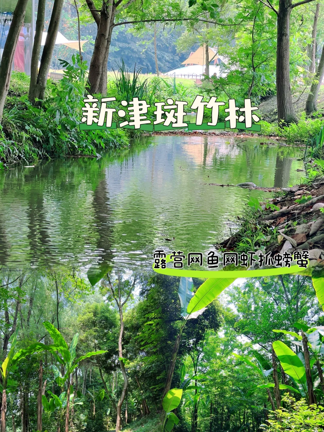 南门出发40min‼️小众人少可露营耍水宝地