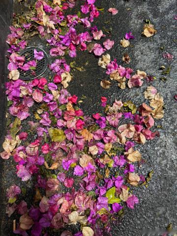 库存，迎海路网红打卡点～