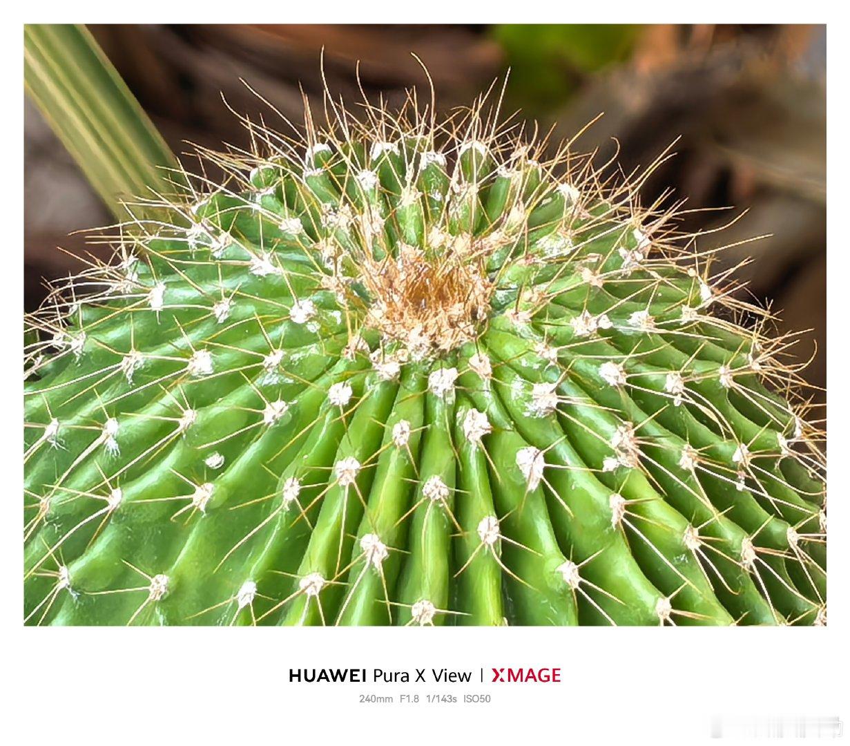 一图看懂有长焦微距的好处，图一是 X View的3.7倍长焦，图二10倍，没有长焦微距只能拍到图二这种水平，图三是Pura X Max的十倍长焦微距，实用性大大增加[捂嘴哭] ​