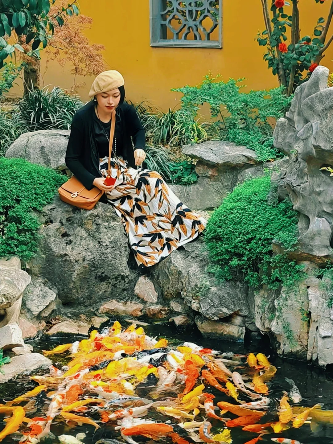 有多少上海人去过“下海庙”喂锦鲤🙋‍♂