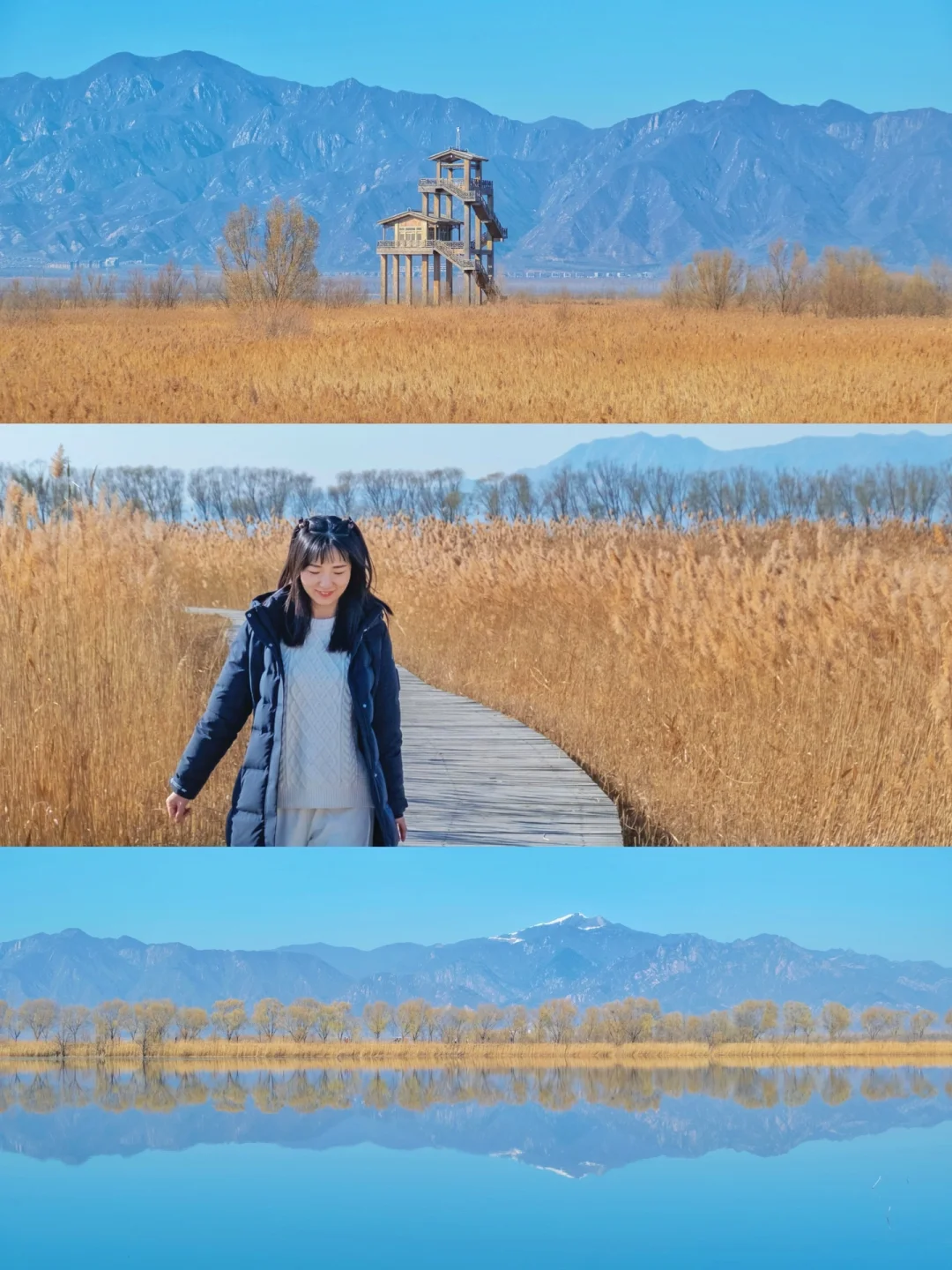 京郊贝加尔湖‼️看晚秋芦苇荡‼️附不费腿路线