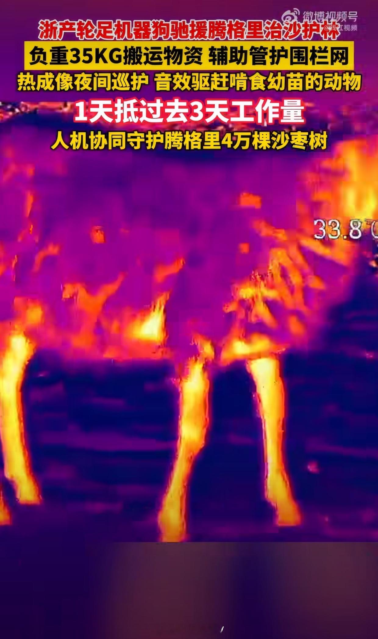 #浙产机器狗去内蒙古帮忙治沙了# 
沙漠里，白天地表温度接近60度；晚上温度又接近零下……

而且人走在沙漠里，要比走在正常路上额外消耗大量体力；

现在有了机器狗的辅助，可以帮忙携带几十公斤的水等物资，还可以通过热成像摄像头观察晚上的动物，还能通过音效系统驱逐啃咬刚种下植物的动物……

这 ​